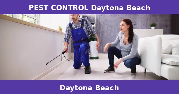 PEST CONTROL Daytona Beach